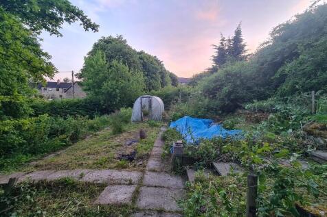 Vegetable garden