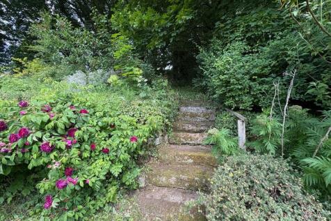 Garden 2
