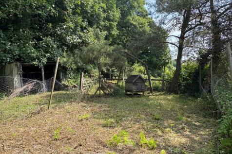 Orchard 2