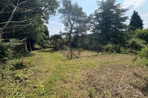 Orchard 