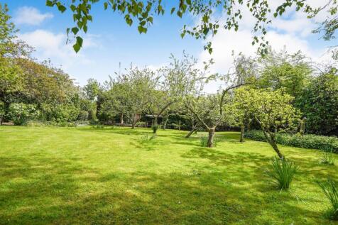 Property Image 31