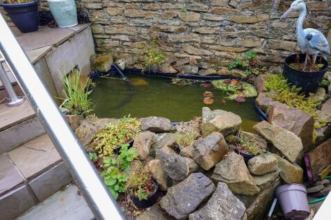 Pond