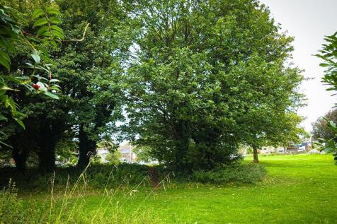 PLAYING FIELDS 
