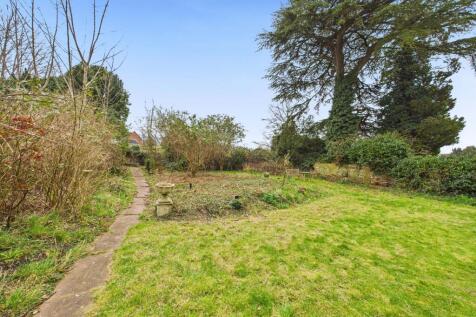 garden 1