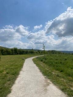 Littlemoor nature