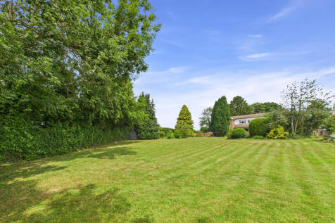 Garden (2)