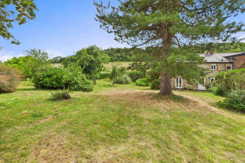 CAM02909G0-PR0449-STILL085