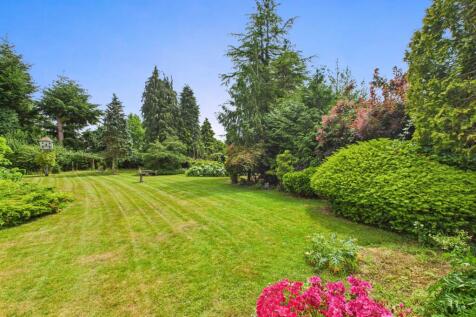 Garden 1