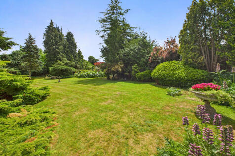 Garden 4