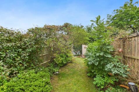 garden 1