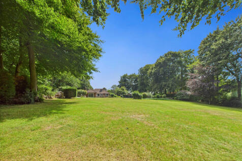 garden 1