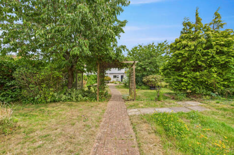 garden (6)