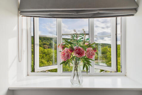 window