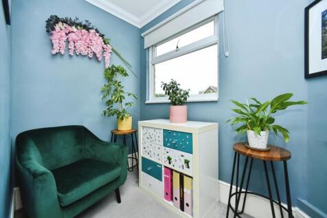 Study Area