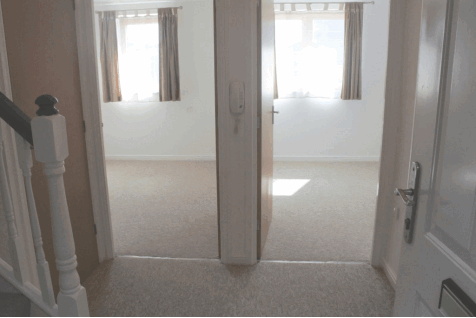 DSC_9200.gif