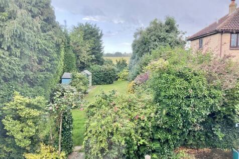 rear garden.jpg