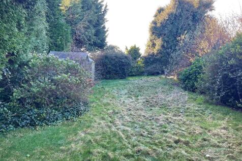 Garden pic4.jpg