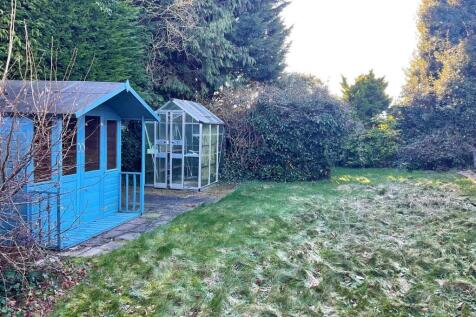 Garden pic3.jpg