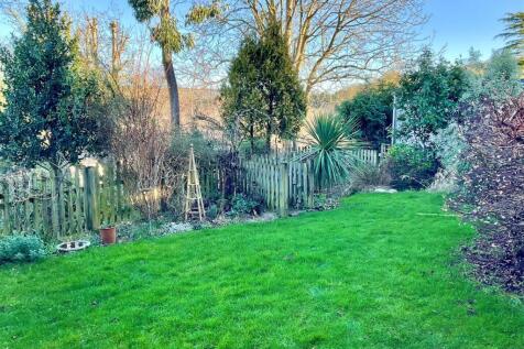 Garden pic3.jpg