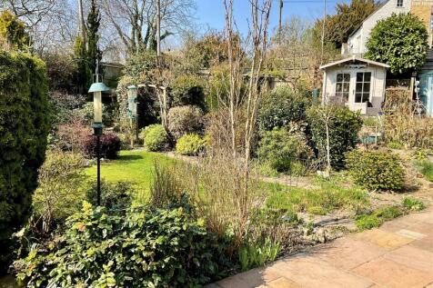 Garden pic5.jpg