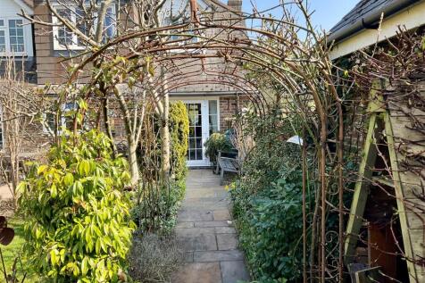 Garden pic14.jpg