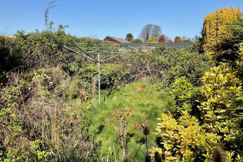 rear garden A.jpg