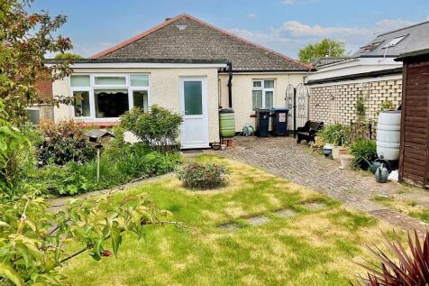 rear garden.jpg