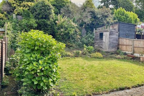 new garden photo.jpg