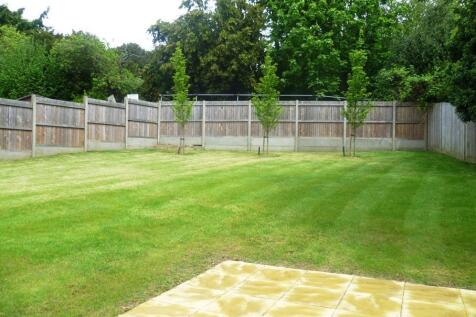 rear garden.JPG