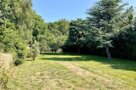 Garden pic4.jpg