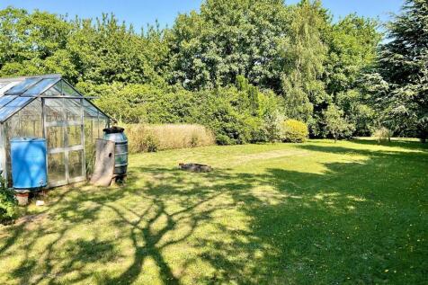 Garden pic1.jpg