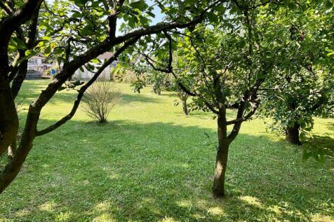 Garden pic3.jpg