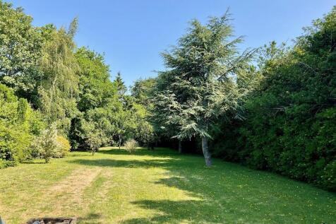Garden pic5.jpg
