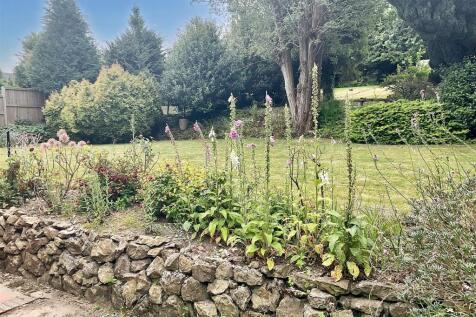 Garden pic 4.jpg