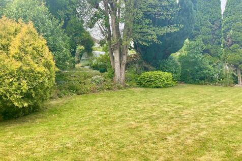 Garden pic 1.jpg
