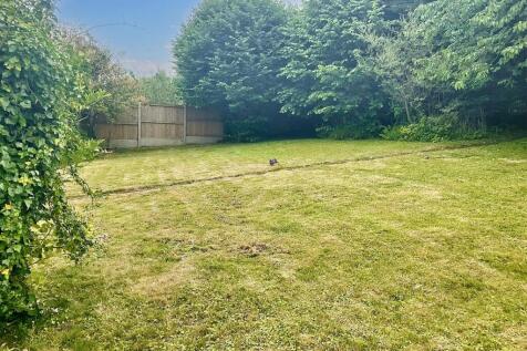 Garden pic 9.jpg