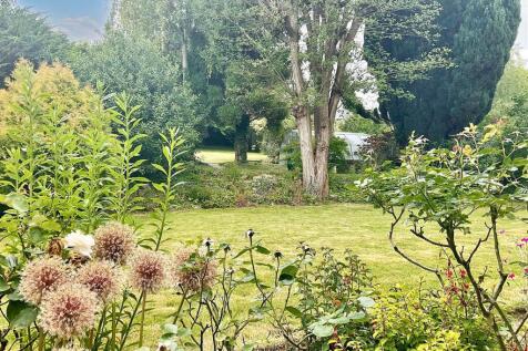 Garden pic 5.jpg