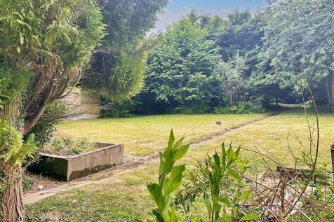 Garden pic 6.jpg