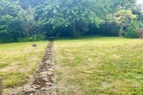 Garden pic 8.jpg