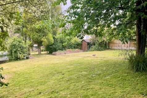 Garden pic 10.jpg