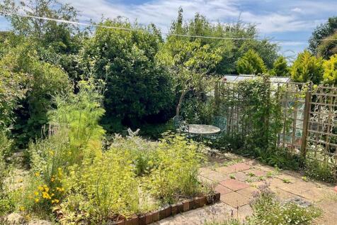 garden.jpg