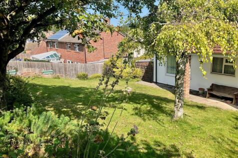 Garden pic2.jpg