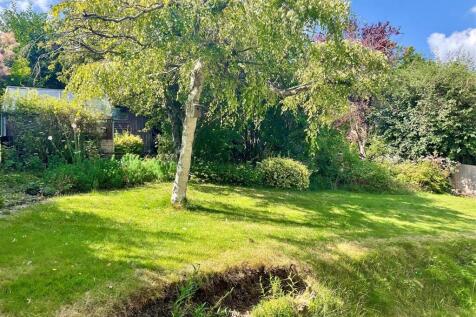 Garden pic1.jpg