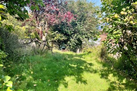 Garden pic3.jpg