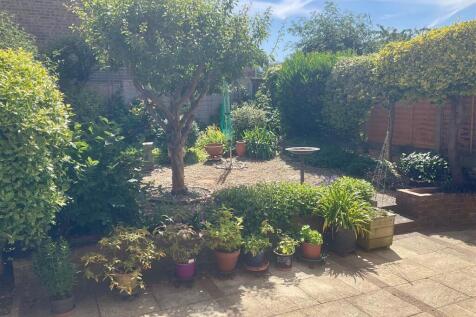 Garden pic1.jpg