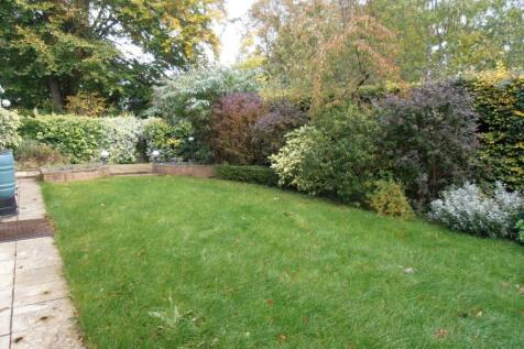 Garden (1)