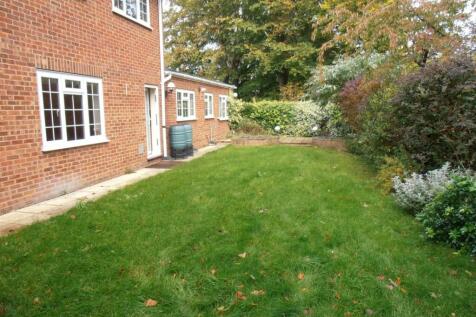 Garden (2)