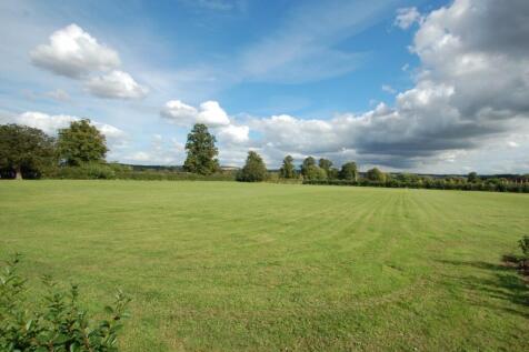 Cricket Pitch