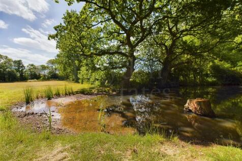 Property Image 29