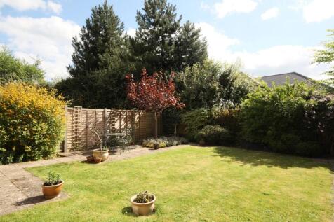 Back garden